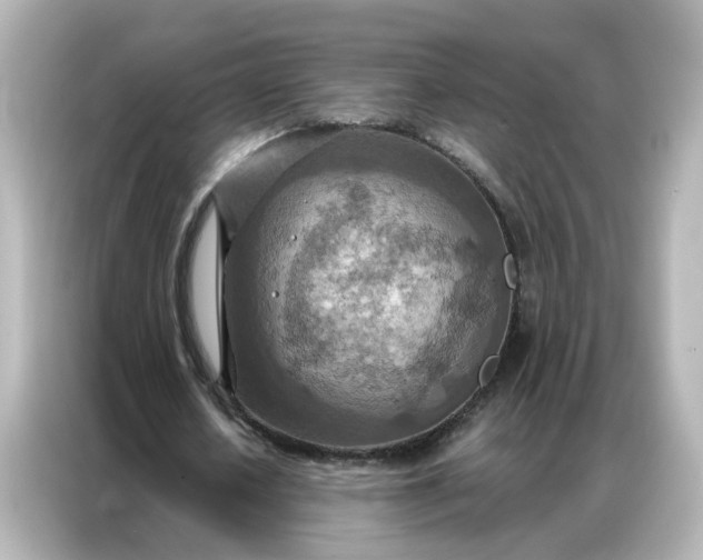 X0000087000626200704301358