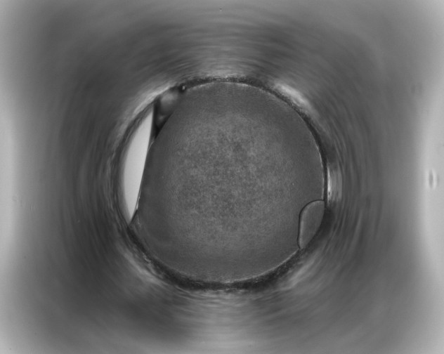 X0000087000627200704301358