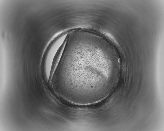 X0000087000628200704301358