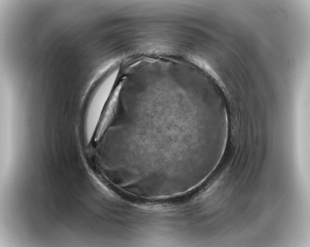 X0000087000629200704301358