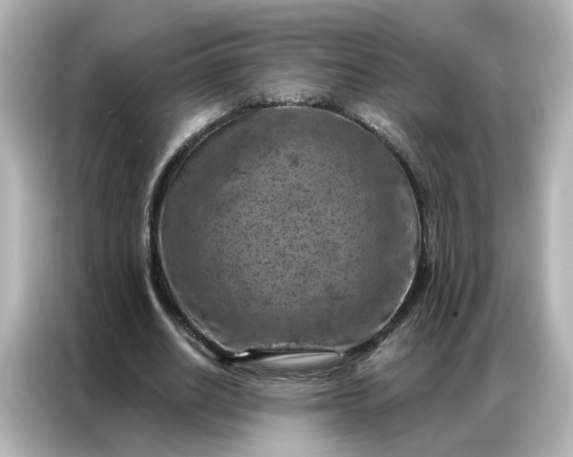 X0000087000630200704301358