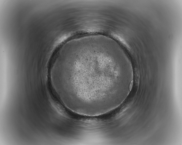X0000087000631200704301358