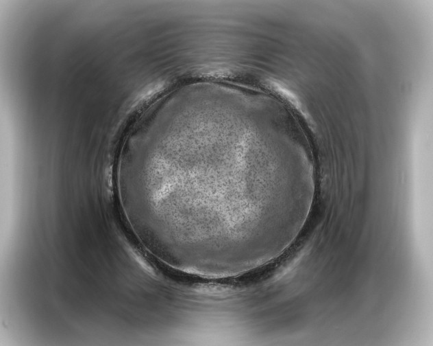 X0000087000633200704301358