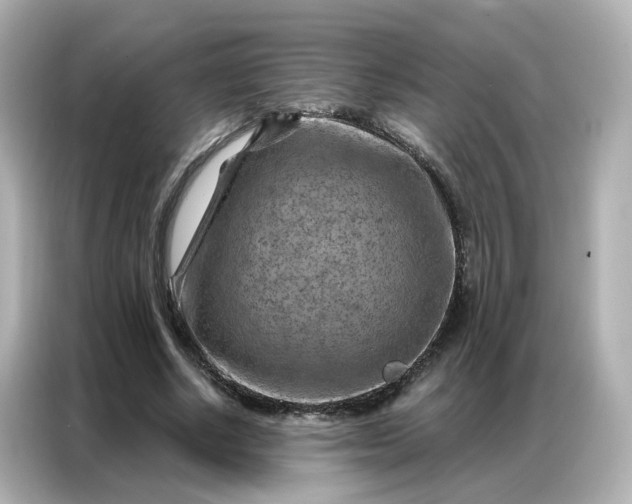 X0000087000634200704301358