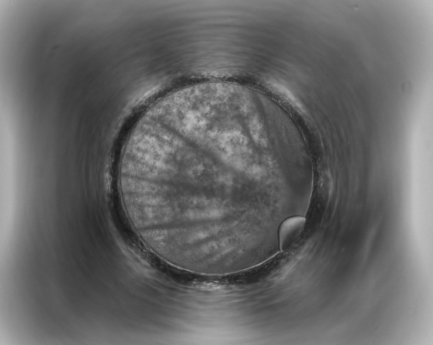 X0000087000635200704301358