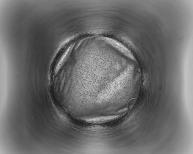 X0000087000636200704301358