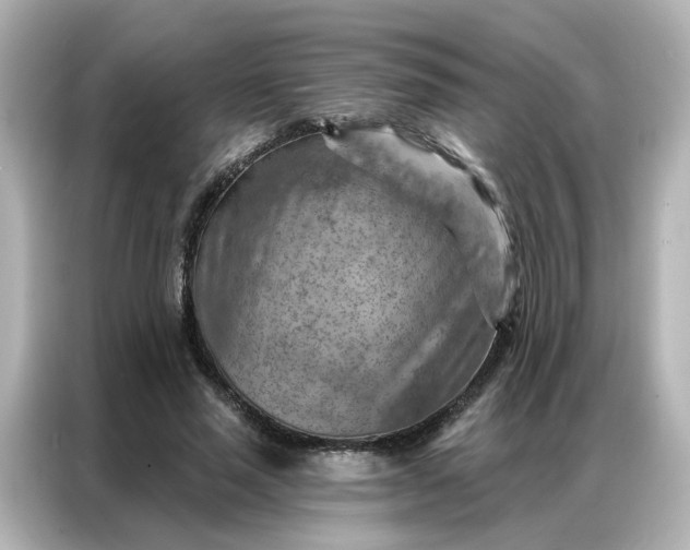 X0000087000637200704301358