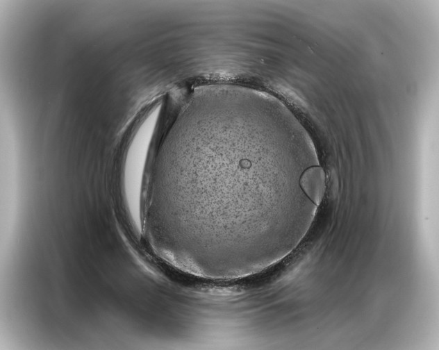 X0000087000638200704301358