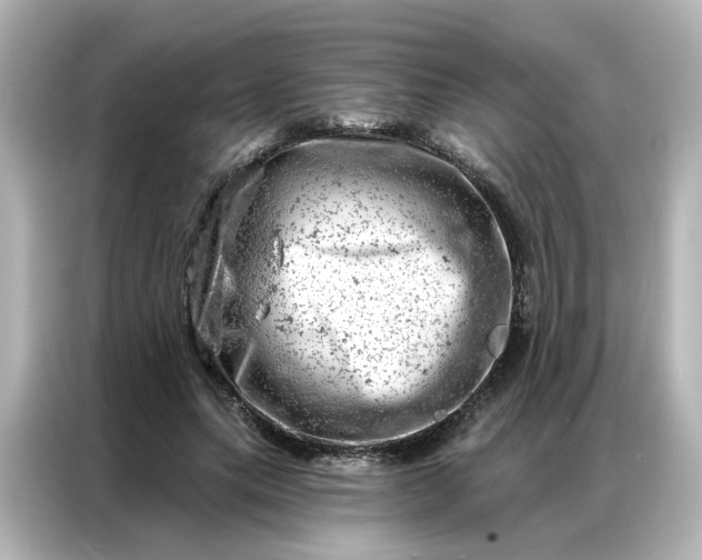 X0000087000639200704301358