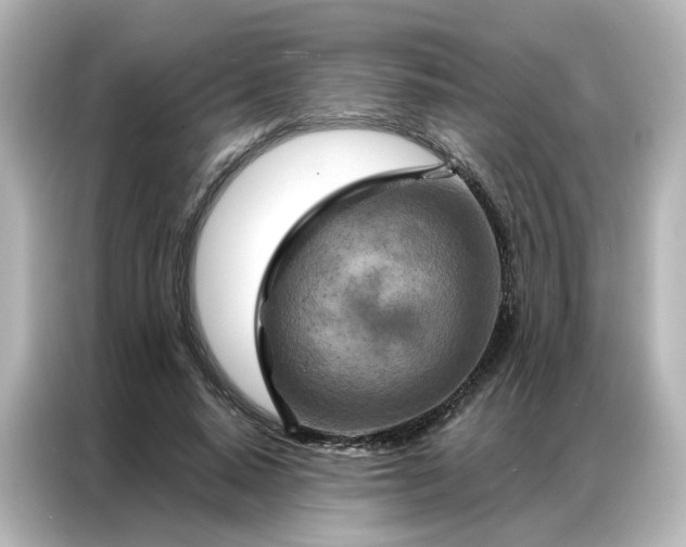 X0000087000640200704301358