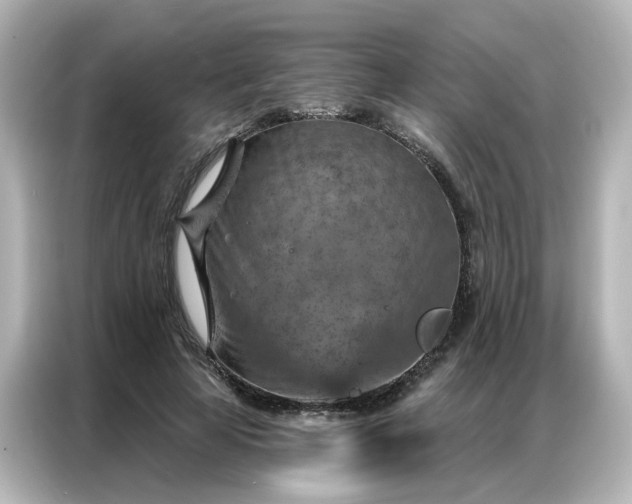 X0000087000641200704301358