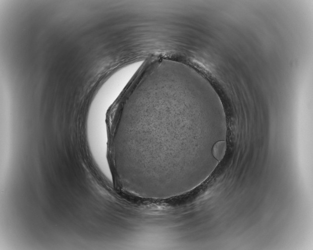 X0000087000642200704301358