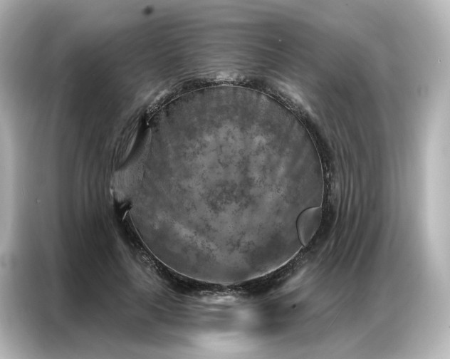 X0000087000643200704301358