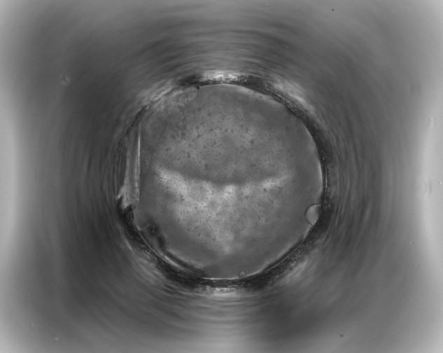 X0000087000645200704301358