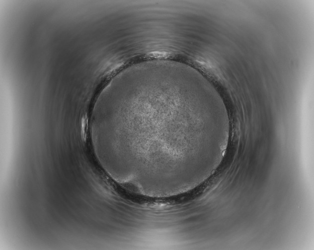 X0000087000647200704301358