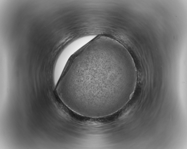 X0000087000648200704301358
