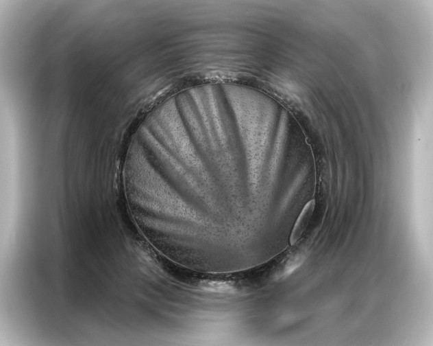 X0000087000649200704301358