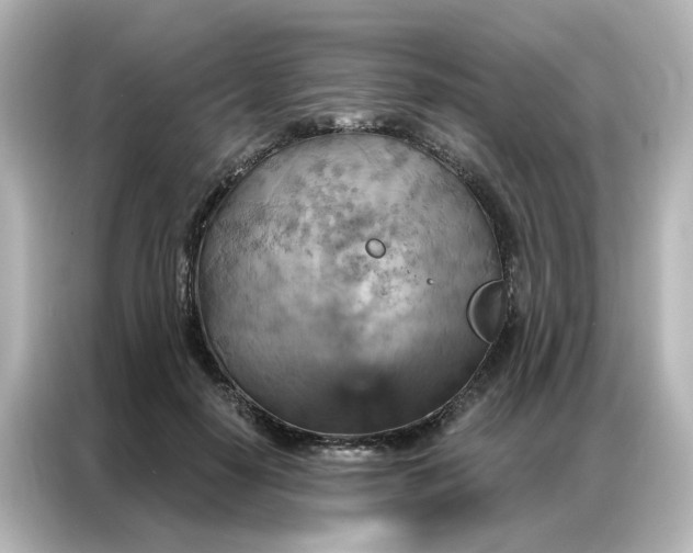 X0000087000650200704301358