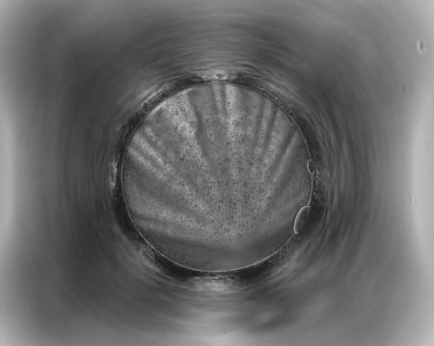 X0000087000652200704301359