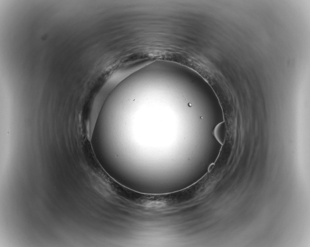X0000087000653200704301359
