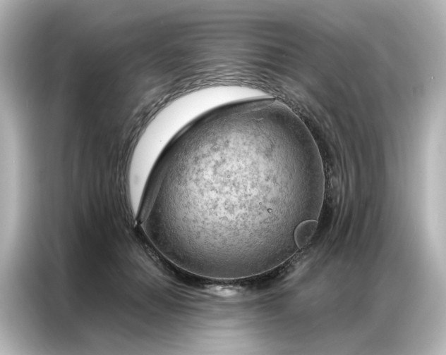 X0000087000654200704301359