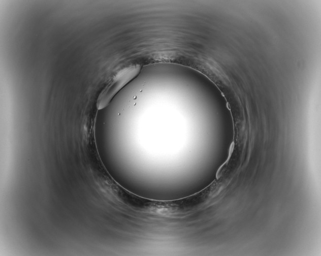 X0000087000655200704301359