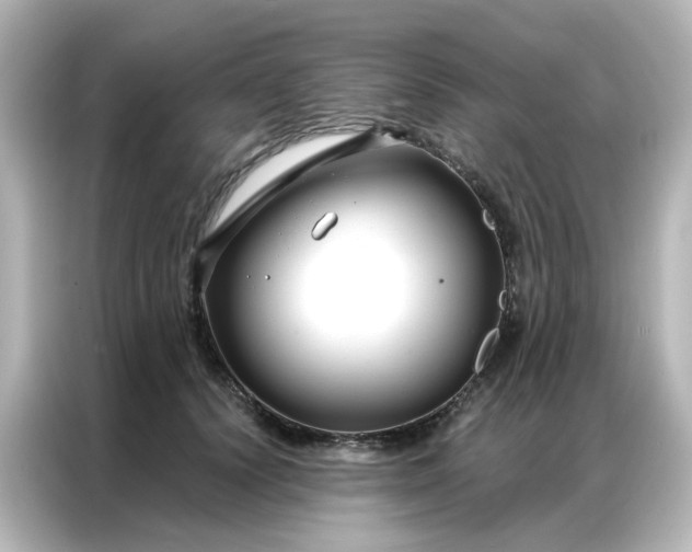 X0000087000656200704301359
