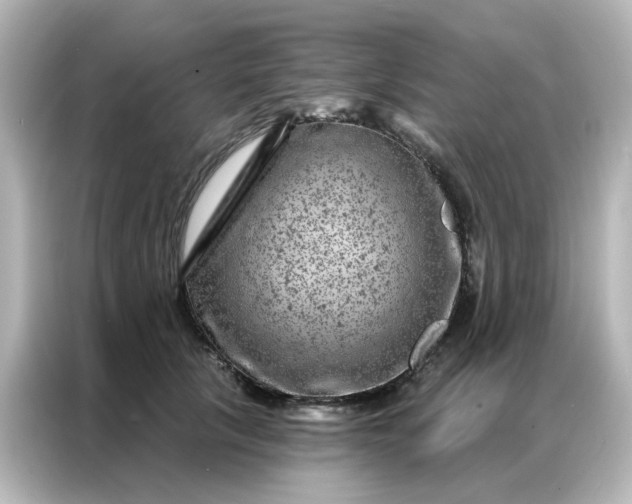 X0000087000657200704301359