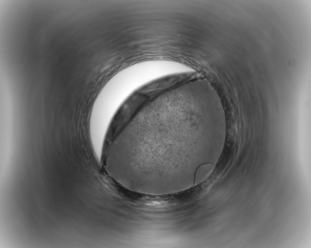 X0000087000658200704301359