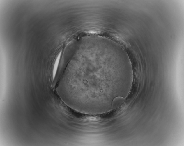 X0000087000659200704301359
