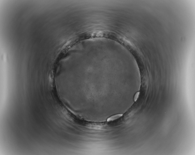 X0000087000661200704301359