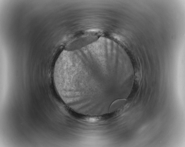 X0000087000662200704301359