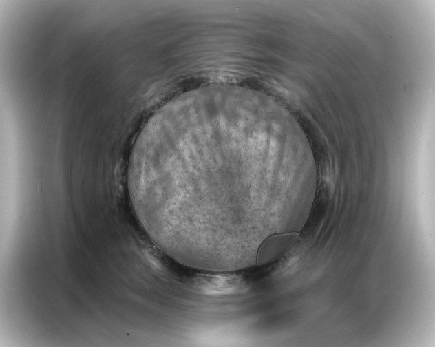 X0000087000663200704301359