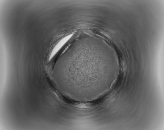 X0000087000664200704301359