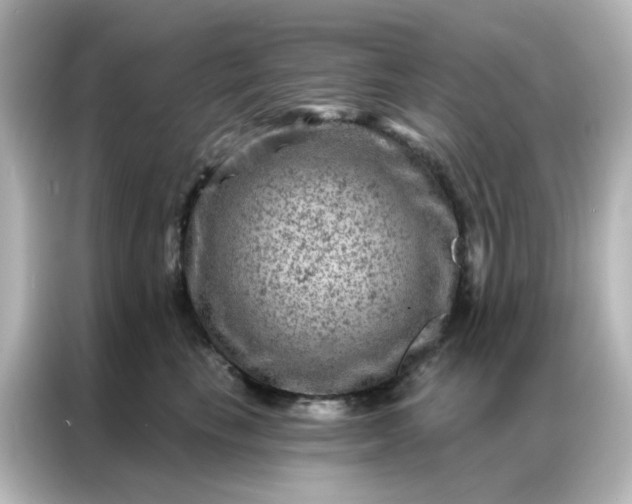 X0000087000665200704301359