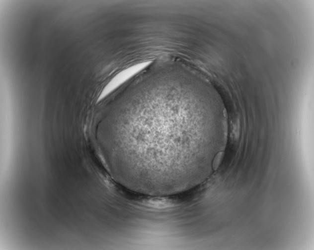 X0000087000666200704301359