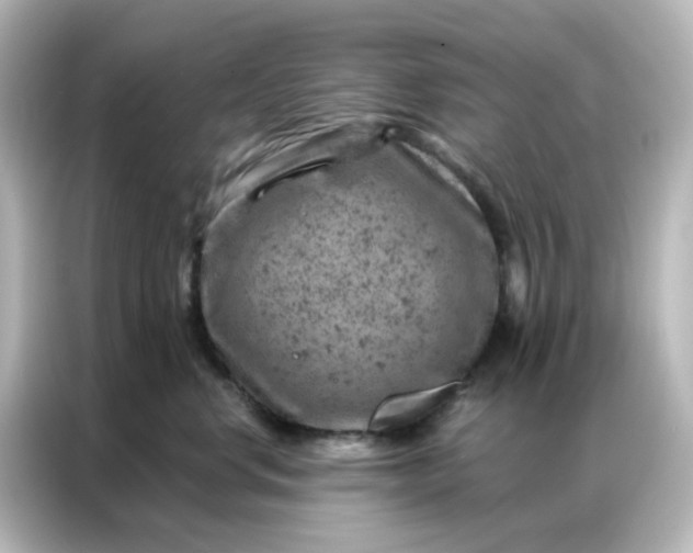 X0000087000668200704301359