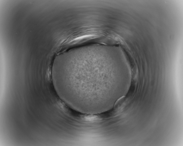 X0000087000669200704301359