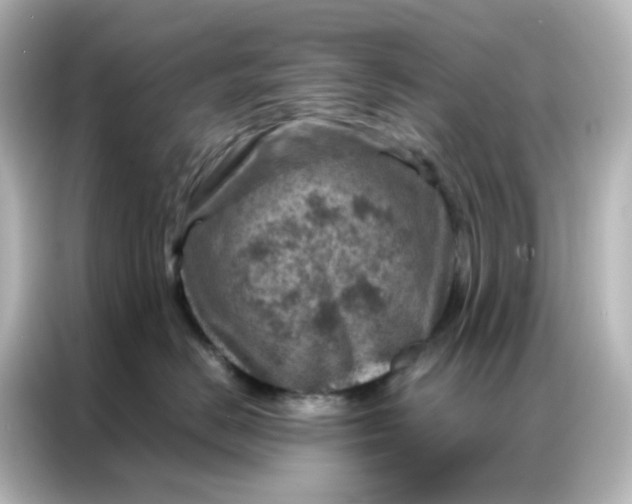 X0000087000670200704301359