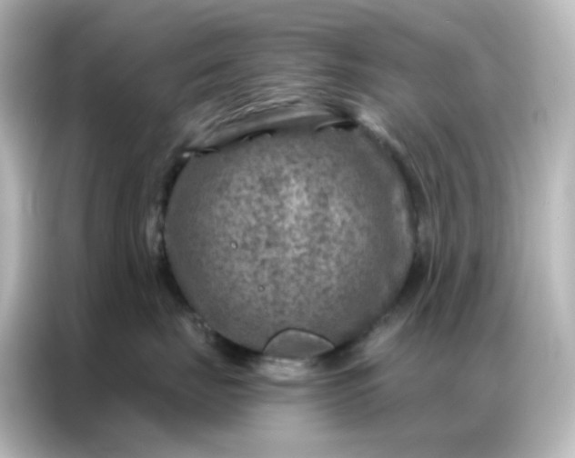 X0000087000671200704301359