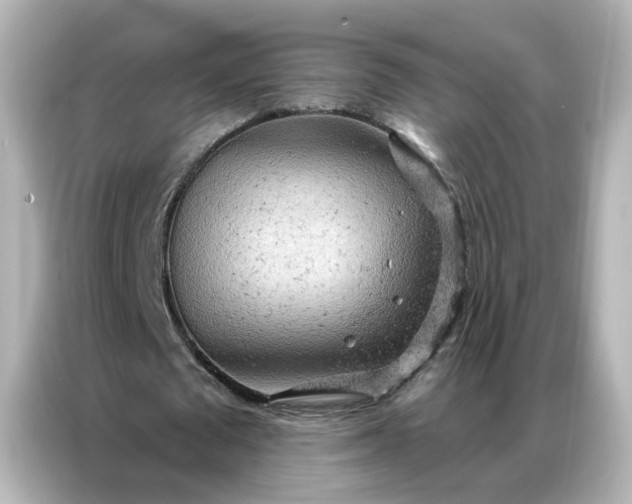 X0000087000673200704301358