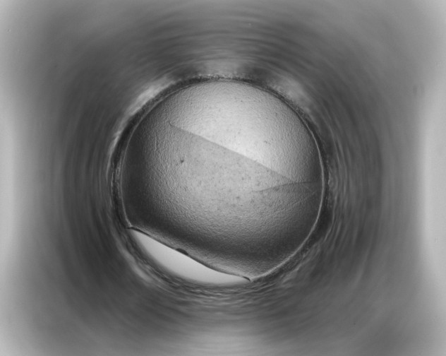 X0000087000674200704301358