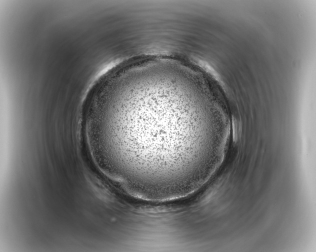 X0000087000675200704301358