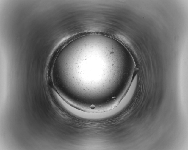 X0000087000676200704301358