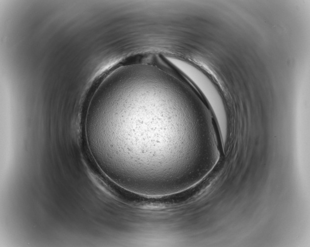 X0000087000677200704301358