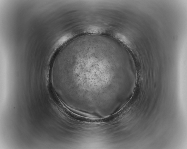 X0000087000679200704301358