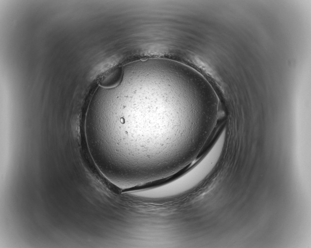 X0000087000681200704301358