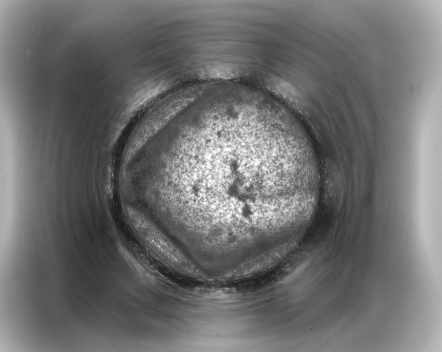 X0000087000683200704301358
