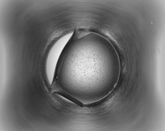 X0000087000685200704301358