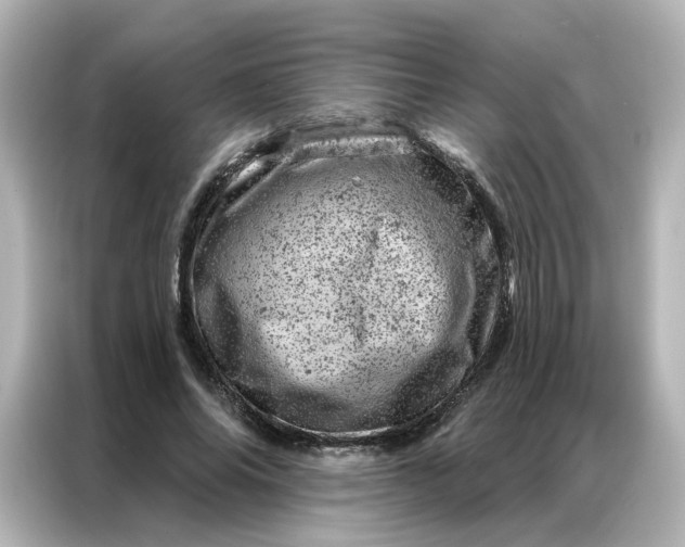 X0000087000686200704301358